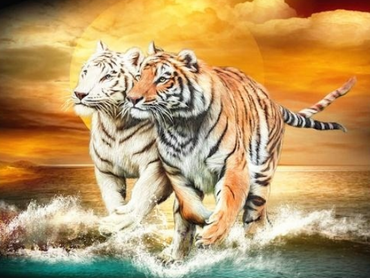 2 Tigers in Brown and White - Full Drill Diamond Painting - Specially ordered for you. Delivery is approximately 4 - 6 weeks.