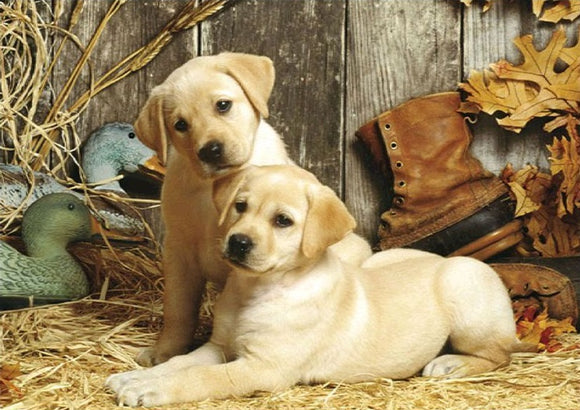 2 Labrador Puppies - Full Drill Diamond Painting - Specially ordered for you. Delivery is approximately 4 - 6 weeks.