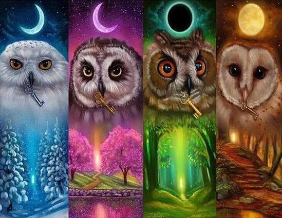 Special Order - 4 Owl Panels - Full Drill Diamond Painting - Specially ordered for you. Delivery is approximately 4 - 6 weeks.
