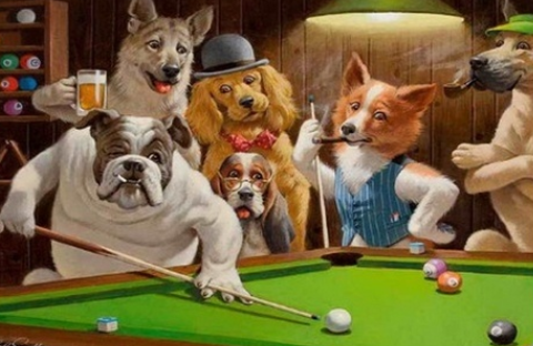Animal Snooker - Full Drill Diamond Painting - Specially ordered for you. Delivery is approximately 4 - 6 weeks.
