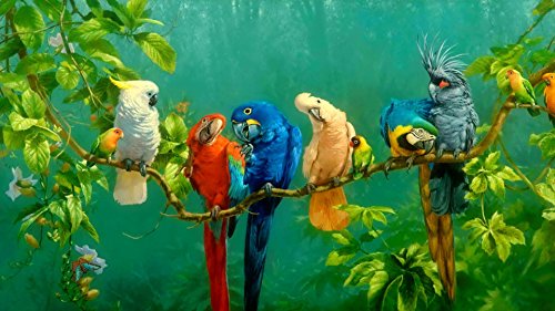 Special Order - Assorted Parrots - Full Drill Diamond Painting - Specially ordered for you. Delivery is approximately 4 - 6 weeks.