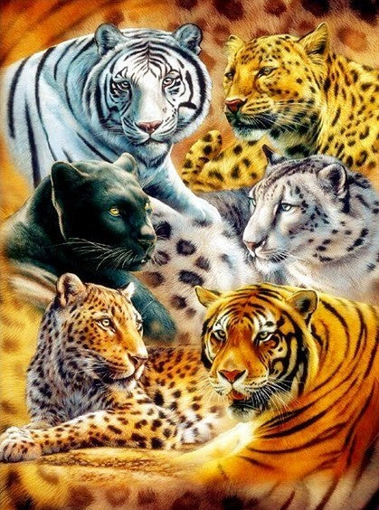 Big Cats - Full Drill Diamond Painting - Specially ordered for you. Delivery is approximately 4 - 6 weeks.
