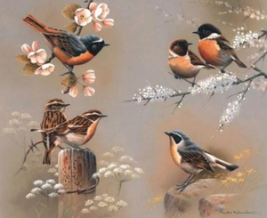 Special Order - Birds 08 - Full Drill Diamond Painting - Specially ordered for you. Delivery is approximately 4 - 6 weeks.