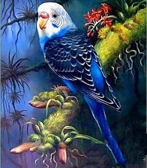 Special Order - Budgie - Full Drill Diamond Painting - Specially ordered for you. Delivery is approximately 4 - 6 weeks.