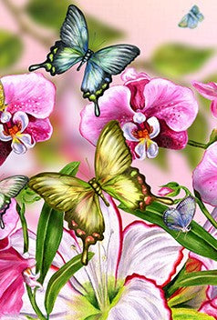 Butterflies 2- Full Drill Diamond Painting - Specially ordered for you. Delivery is approximately 4 - 6 weeks.