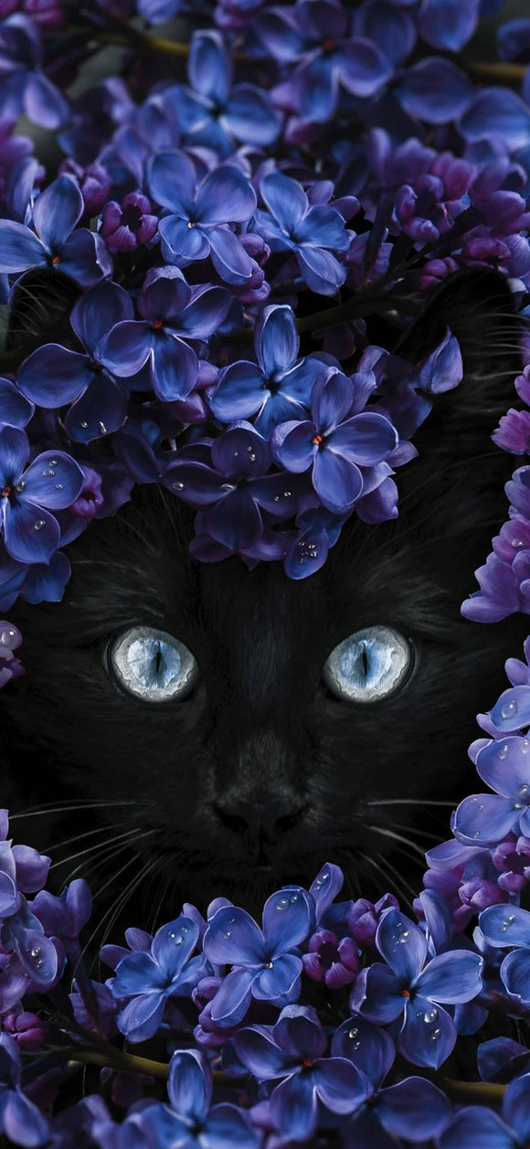 Cat In Purple Flowers- Full Drill Diamond Painting - Specially ordered for you. Delivery is approximately 4 - 6 weeks.