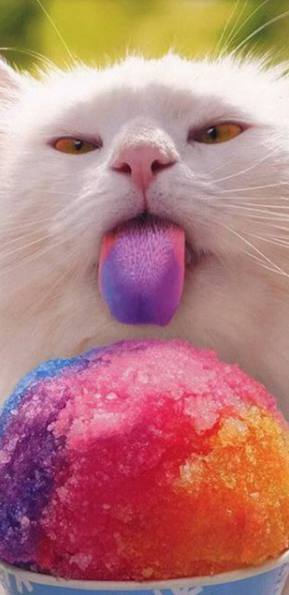 Cat With Snow Cone - Full Drill Diamond Painting - Specially ordered for you. Delivery is approximately 4 - 6 weeks.