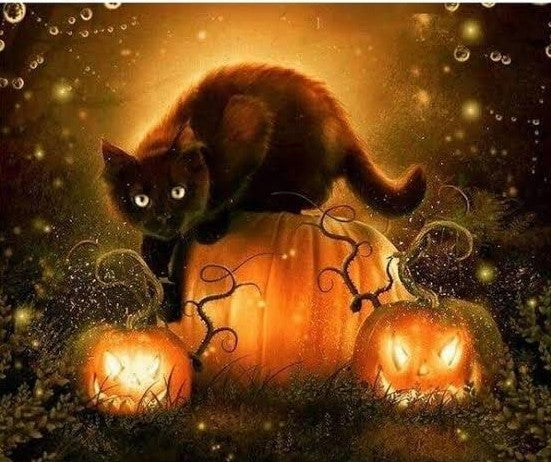 Special Order - Cat and Pumpkins - Full Drill Diamond Painting - Specially ordered for you. Delivery is approximately 4 - 6 weeks.