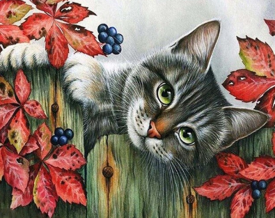 Special Order - Cat on Fence - Full Drill Diamond Painting - Specially ordered for you. Delivery is approximately 4 - 6 weeks.