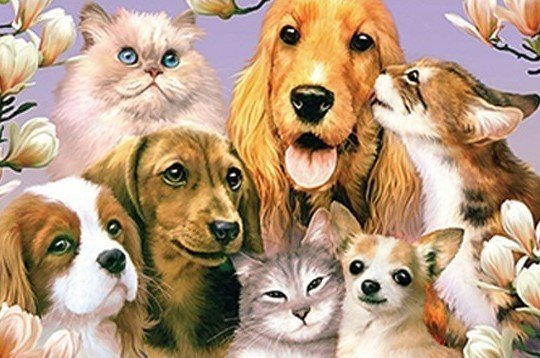 Special Order - Cats and Dogs - Full Drill Diamond Painting - Specially ordered for you. Delivery is approximately 4 - 6 weeks.