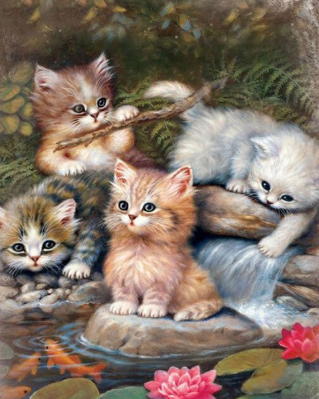 Special Order - Cats and the Pond - Full Drill Diamond Painting - Specially ordered for you. Delivery is approximately 4 - 6 weeks.