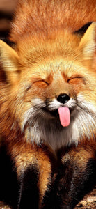 Cheeky Fox- Full Drill Diamond Painting - Specially ordered for you. Delivery is approximately 4 - 6 weeks.