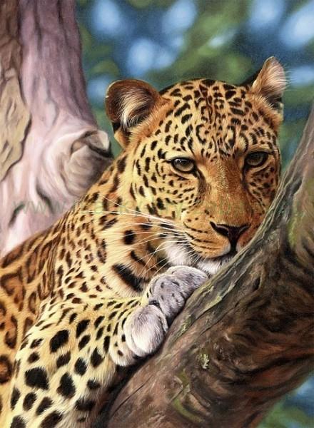 Special Order - Cheetah in a Tree - Full Drill diamond painting - Specially ordered for you. Delivery is approximately 4 - 6 weeks.
