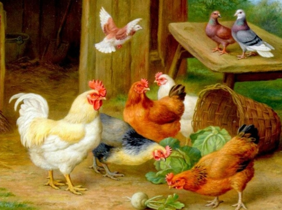 Chickens 2 - Full Drill Diamond Painting - Specially ordered for you. Delivery is approximately 4 - 6 weeks.