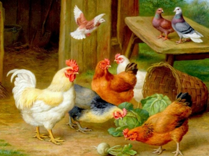 Special Order - Chickens 2 - Full Drill diamond painting - Specially ordered for you. Delivery is approximately 4 - 6 weeks.