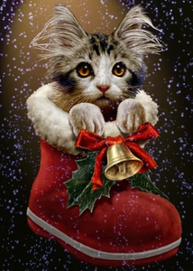 Christmas Boot Kitten - Full Drill Diamond Painting - Specially ordered for you. Delivery is approximately 4 - 6 weeks.
