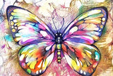 Special Order - Colour Wash Butterfly 01 - Full Drill Diamond Painting - Specially ordered for you. Delivery is approximately 4 - 6 weeks.