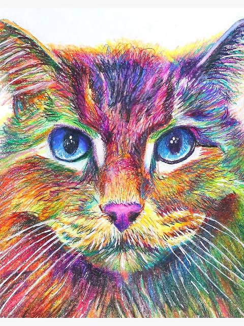 Colourful Cat 05 - Full Drill Diamond Painting - Specially ordered for you. Delivery is approximately 4 - 6 weeks.