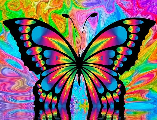 Colourful Butterfly- Full Drill Diamond Painting - Specially ordered for you. Delivery is approximately 4 - 6 weeks.