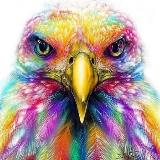 Special Order - Colourful Eagle - Full Drill Diamond Painting - Specially ordered for you. Delivery is approximately 4 - 6 weeks.