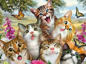 Crazy Cats - Full Drill Diamond Painting - Specially ordered for you. Delivery is approximately 4 - 6 weeks.