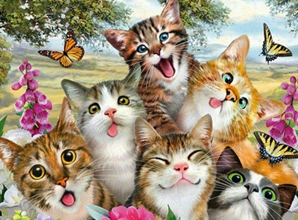 Special Order - Crazy Cats - Full Drill diamond painting - Specially ordered for you. Delivery is approximately 4 - 6 weeks.