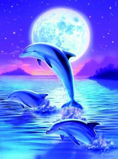 Special Order - Dolphin Trio - Full Drill diamond painting - Specially ordered for you. Delivery is approximately 4 - 6 weeks.