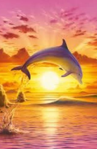 Special Order - Dolphins 07 - Full Drill Diamond Painting - Specially ordered for you. Delivery is approximately 4 - 6 weeks.