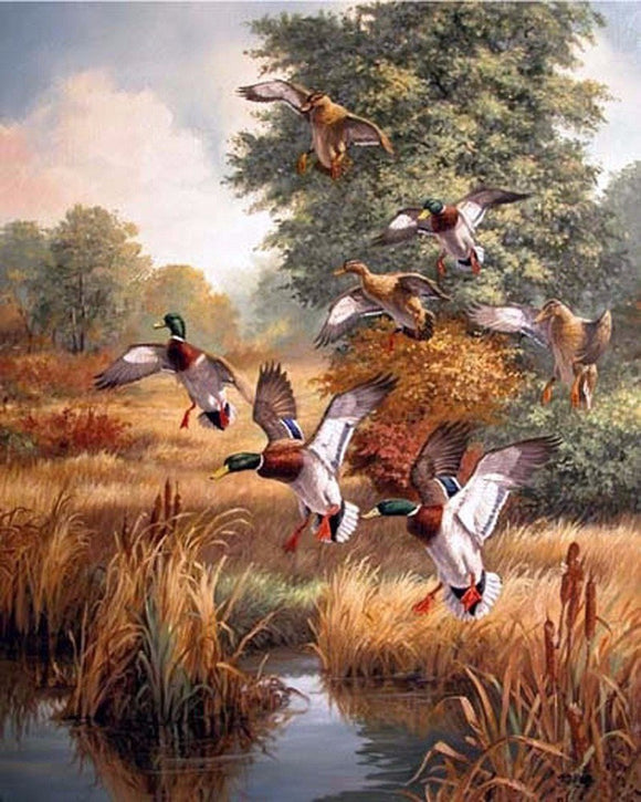 Ducks- Full Drill Diamond Painting - Specially ordered for you. Delivery is approximately 4 - 6 weeks.
