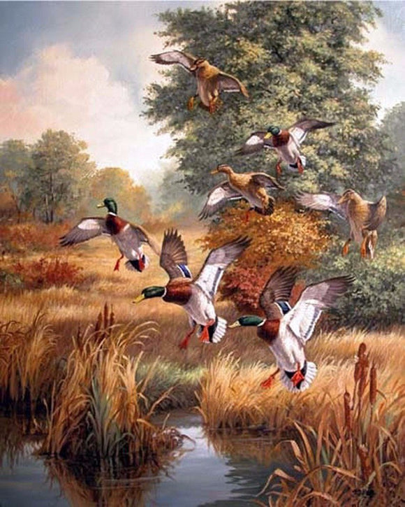 Special Order - Ducks - Full Drill diamond painting - Specially ordered for you. Delivery is approximately 4 - 6 weeks.