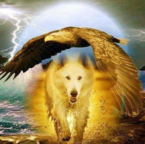 Special Order - Eagle and Wolf - Full Drill Diamond Painting - Specially ordered for you. Delivery is approximately 4 - 6 weeks.