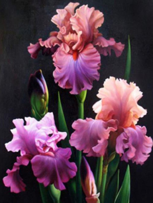 Flowers 014 Full Drill Diamond Painting - Specially ordered for you. Delivery is approximately 4 - 6 weeks.