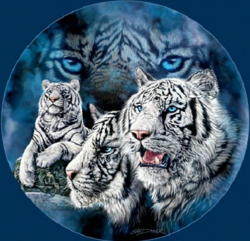 Special Order - Four Tigers - Full Drill Diamond Painting - Specially ordered for you. Delivery is approximately 4 - 6 weeks.