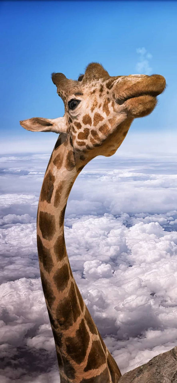 Giraffe In Sky  - Full Drill Diamond Painting - Specially ordered for you. Delivery is approximately 4 - 6 weeks.