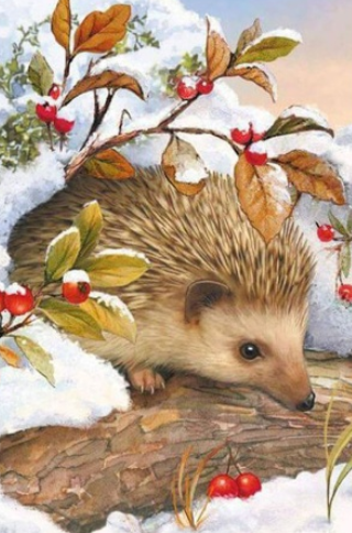 Hedgehog In Snow- Full Drill Diamond Painting - Specially ordered for you. Delivery is approximately 4 - 6 weeks.
