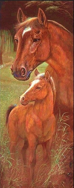 Special Order - Wild Mothers Horse - Full Drill Diamond Painting - Specially ordered for you. Delivery is approximately 4 - 6 weeks.