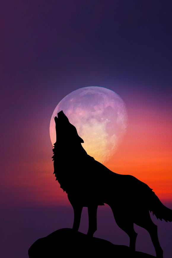 Howl Moon- Full Drill Diamond Painting - Specially ordered for you. Delivery is approximately 4 - 6 weeks.