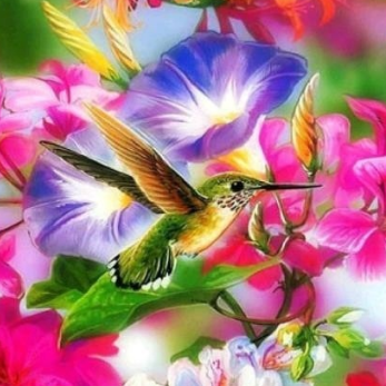 Special Order - Humming Bird 02 - Full Drill Diamond Painting - Specially ordered for you. Delivery is approximately 4 - 6 weeks.