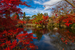 Special Order - Japanese Garden - Full Drill Diamond Painting - Specially ordered for you. Delivery is approximately 4 - 6 weeks.