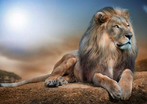King Of The Jungle- Full Drill Diamond Painting - Specially ordered for you. Delivery is approximately 4 - 6 weeks.