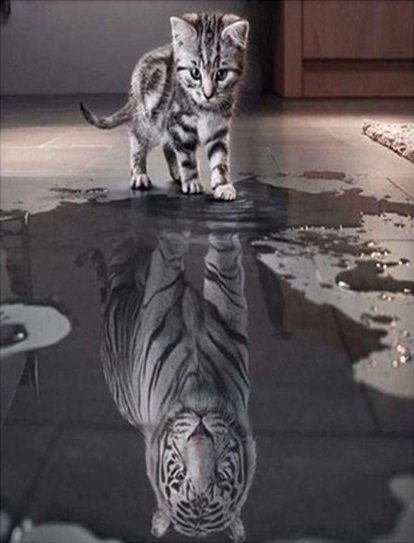 Kitten Reflection -  Full Drill Diamond Painting - Specially ordered for you. Delivery is approximately 4 - 6 weeks.