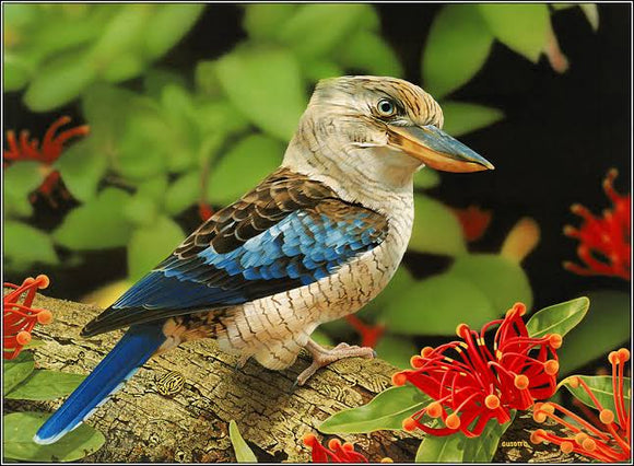 Kookaburra 02 - Full Drill Diamond Painting - Specially ordered for you. Delivery is approximately 4 - 6 weeks.