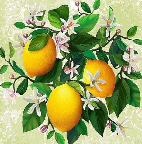 Special Order - Lemons - Full Drill Diamond Painting - Specially ordered for you. Delivery is approximately 4 - 6 weeks.