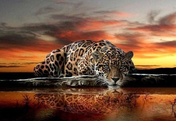 Leopard at sunset - Full Drill Diamond Painting - Specially ordered for you. Delivery is approximately 4 - 6 weeks.