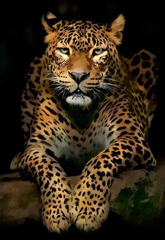 Leopard on Black - Full Drill Diamond Painting - Specially ordered for you. Delivery is approximately 4 - 6 weeks.