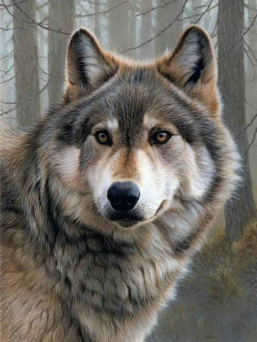 Lone Wolf- Full Drill Diamond Painting - Specially ordered for you. Delivery is approximately 4 - 6 weeks.