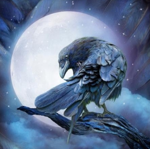 Special Order - Moonlight Crow - Full Drill Diamond Painting - Specially ordered for you. Delivery is approximately 4 - 6 weeks.