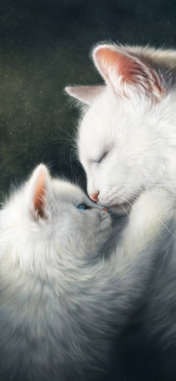 Mum And Baby Cat- Full Drill Diamond Painting - Specially ordered for you. Delivery is approximately 4 - 6 weeks.