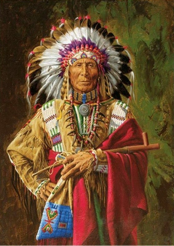 Native American 03 (2)- Full Drill Diamond Painting - Specially ordered for you. Delivery is approximately 4 - 6 weeks.