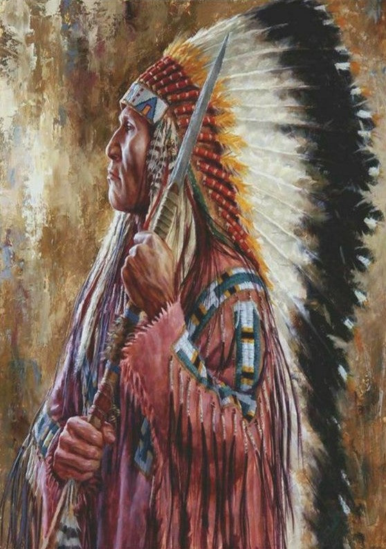 Native American 04 (2)- Full Drill Diamond Painting - Specially ordered for you. Delivery is approximately 4 - 6 weeks.